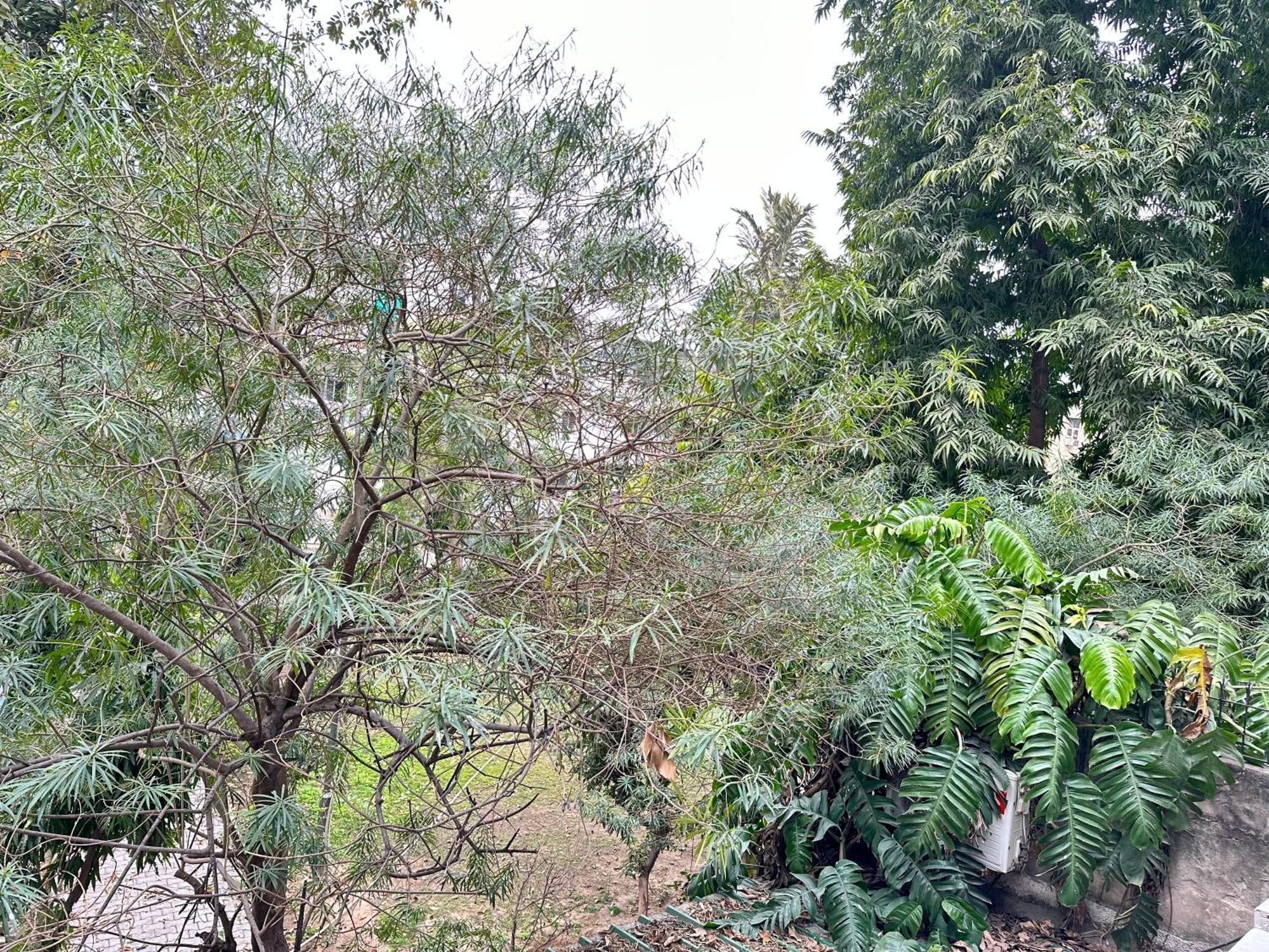 Отель Grove Residency Hauz Khas New Delhi Couple Friendly Экстерьер фото